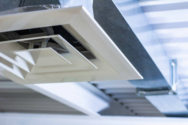 Air Duct Mold Removal in Potomac Park, CA